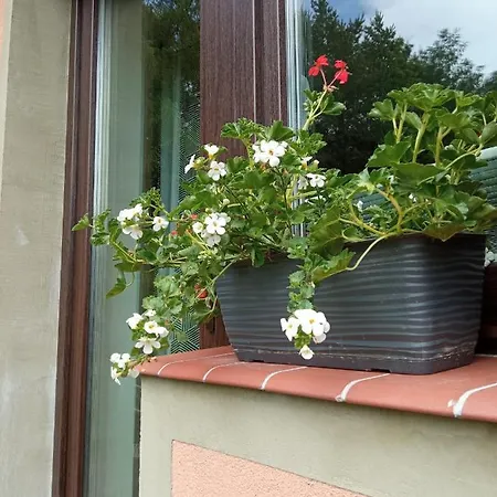 Na Jodlowej Habitación en casa particular Odargowo