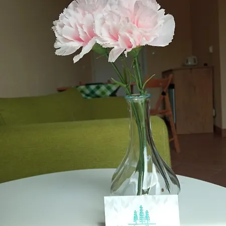 Habitación en casa particular Na Jodlowej Odargowo